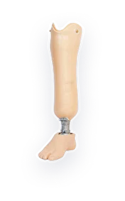 bionic